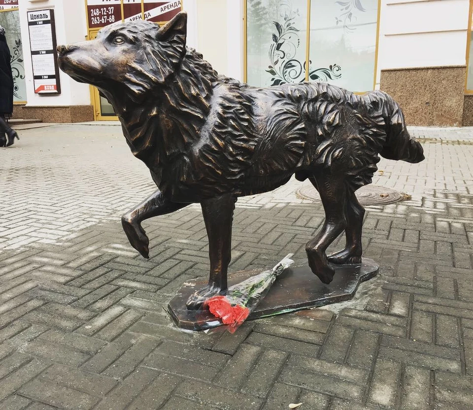 Встреча Беляша и его хозяина