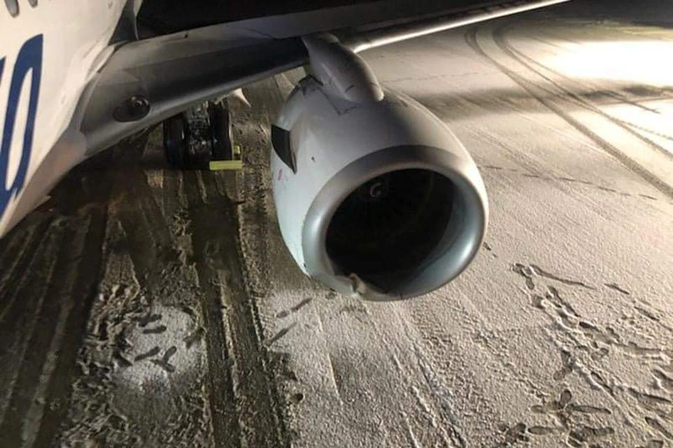 На Аляске самолёт авиакомпании Alaska Airlines сбил медведя во время приземления в аэропорту Якутат