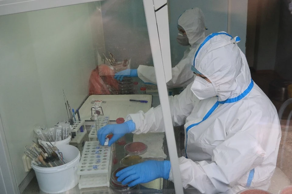 Общее число зараженных COVID-19 в регионе с начала пандемии превысило 24,7 тыс. человек