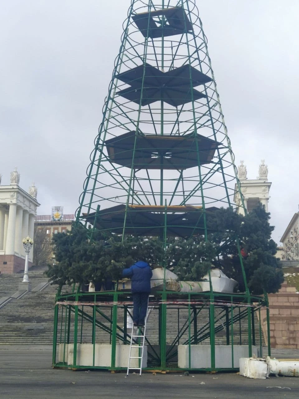 Елку начали собирать на набережной. Фото: мэрия