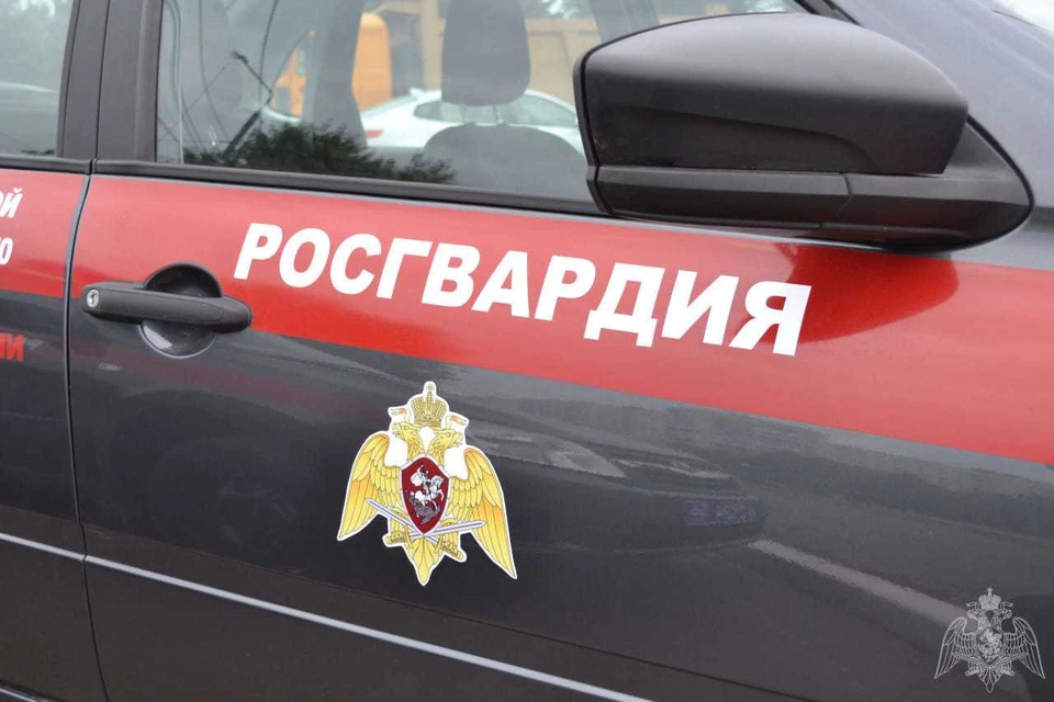 В Белгороде сотрудники Росгвардии задержали мужчину, задолжавшего крупную сумму по алиментам.
