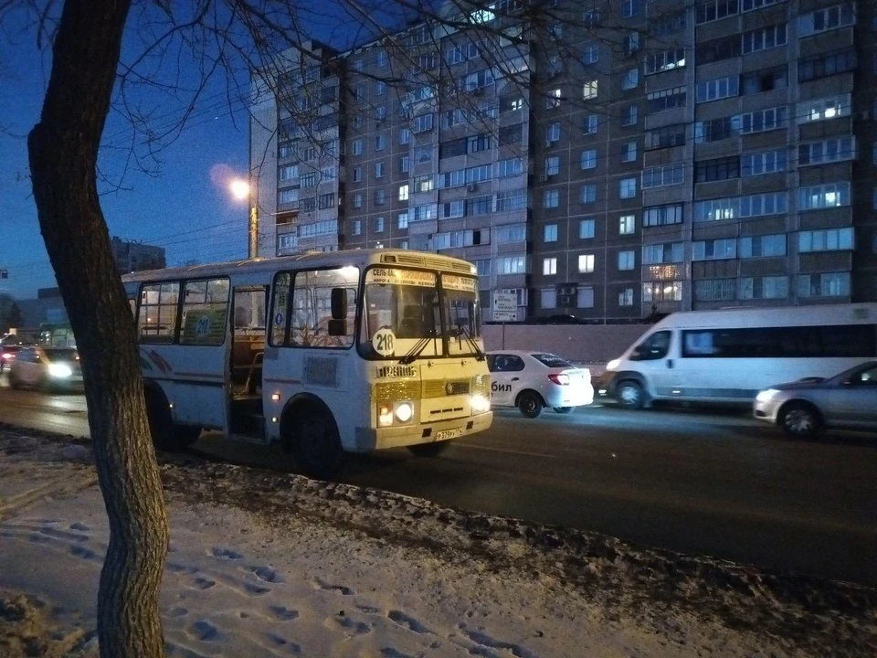 Водитель маршрутки утверждает, что ехал на желтый. Фото: 1Obl.ru