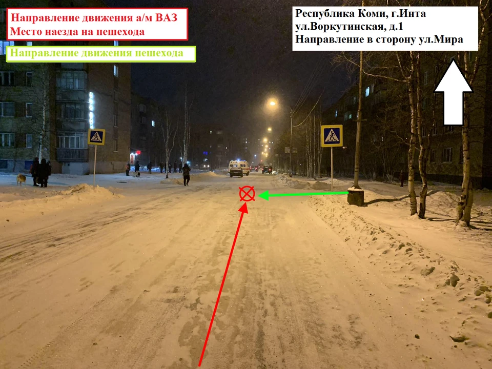 Фото: управление ГИБДД по Коми
