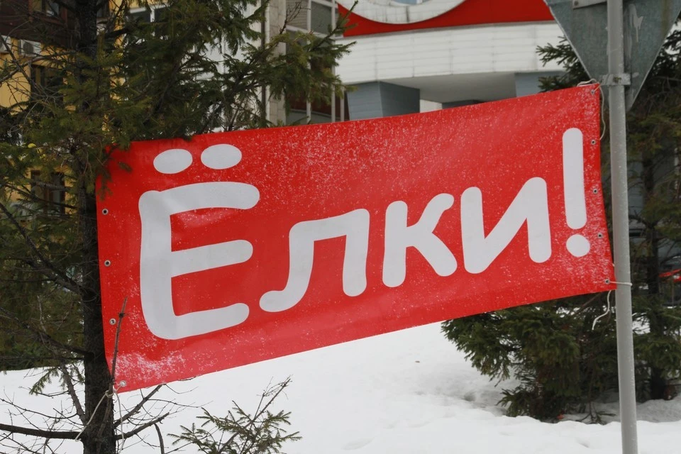 Цена за елку в этом году - от 700 рублей