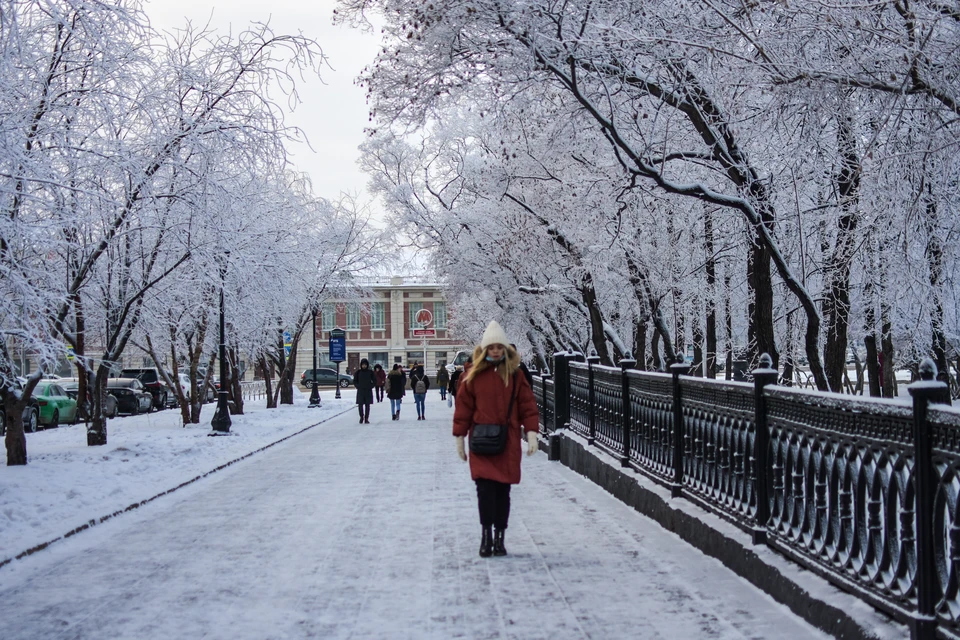 Погода в новосибирске фото сегодня