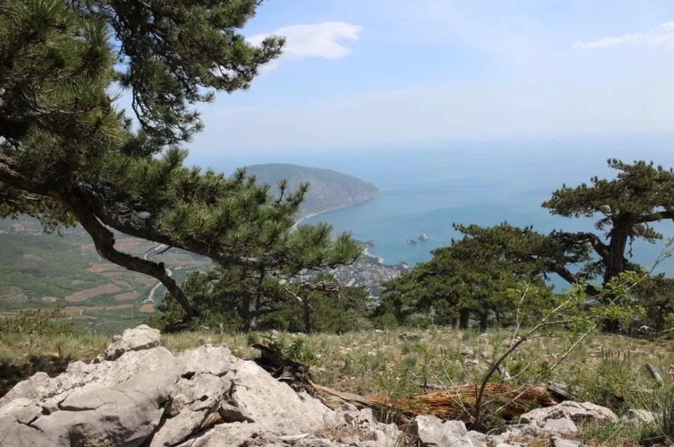 В конце 2020 года в Крыму будет тепло и сухо