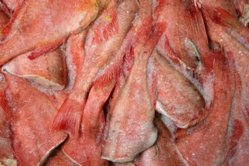 В Ростовской области задержали крупную партию рыбной продукции. Фото: Россельхознадзор РО
