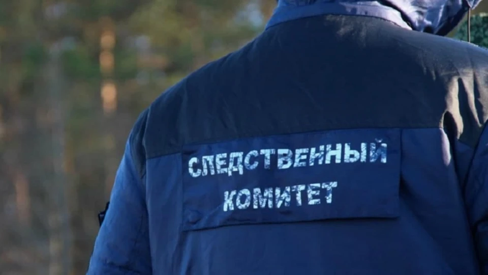 С подозреваемым сейчас работают сотрудники СКР.