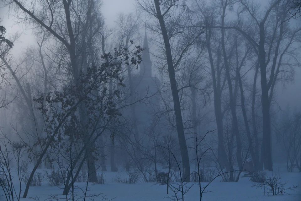 Следующая неделя в Москве станет самой холодной за всю зиму, пообещал климатолог