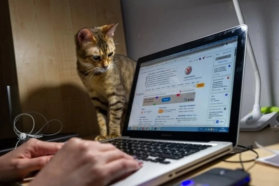Ростовчанину запретили работать в Интернете. Фото: Архив КП