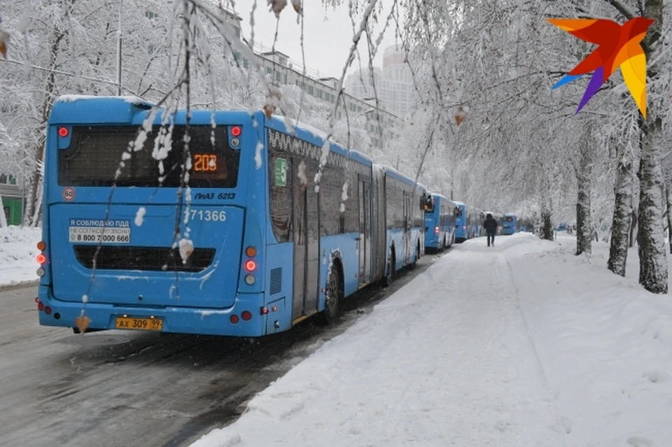 Автобусы из Саратова не ходят из-за метели