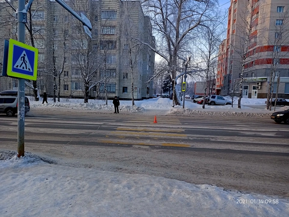 Фото: ГИБДД по Республике Коми