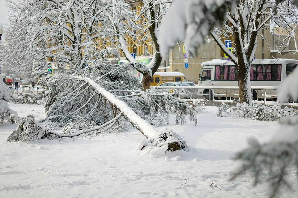 Фото: admkrai.krasnodar.ru