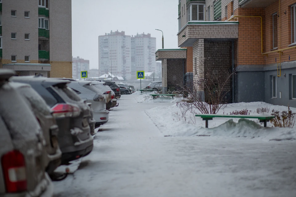 Фото: Анастасия ТАРАСОВА