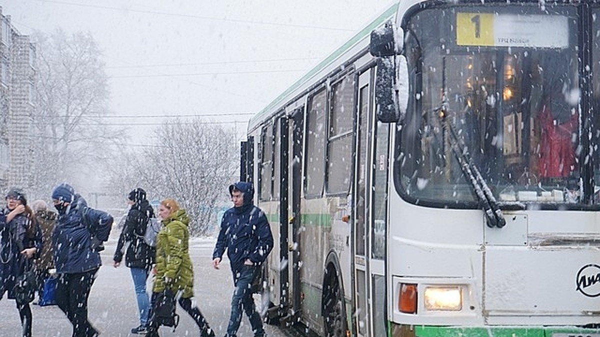 Суд в Коми оправдал человека без маски в общественно месте - KP.RU