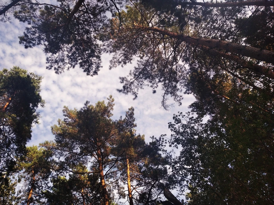 В регионе подвели итоги рейдов