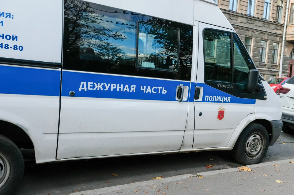 В Петербурге возбудили дело по факту нападения на полицейского во время незаконного митинга