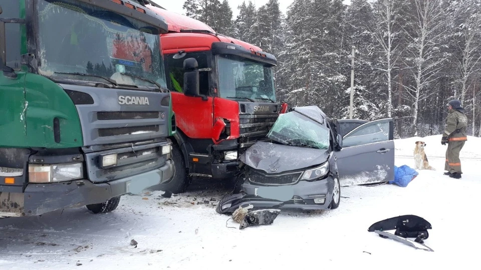 Трое пассажиров легкового автомобиля погибли от полученных травм