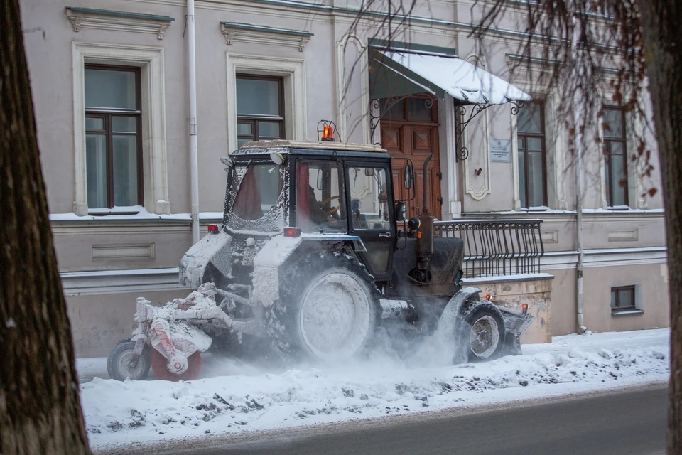 Фото: Анастасия ТАРАСОВА