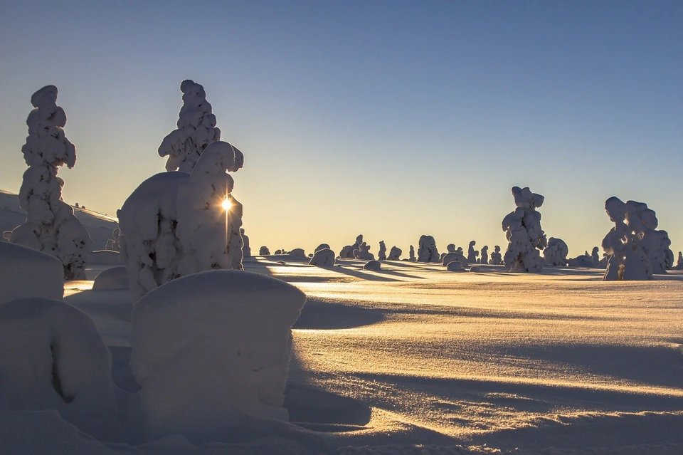 Погода в Ижевске 28 января