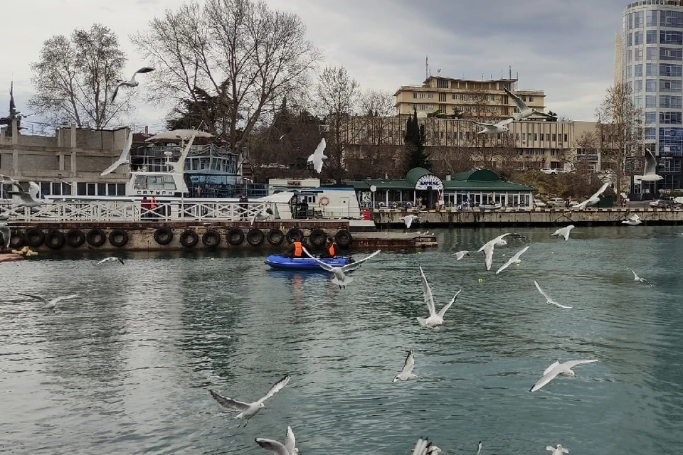Поисковики в камуфляжной форме изучали морское дно главной набережной Севастополя