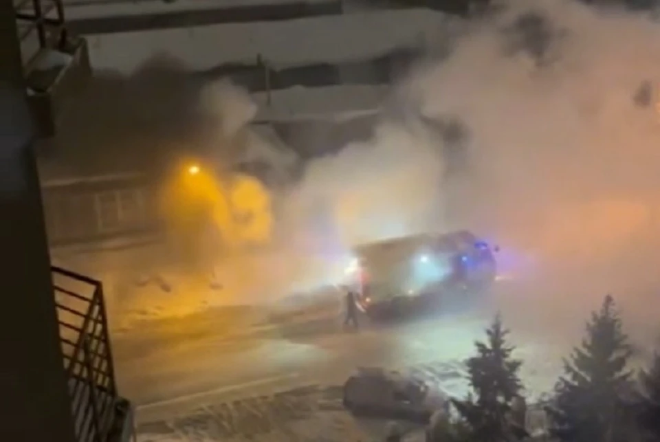 Пожарные потушили пламя за полчаса. Фото: стоп-кадр