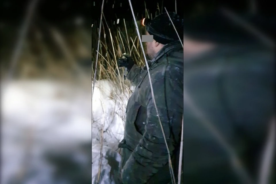 Фото: СУ СКР по Свердловской области