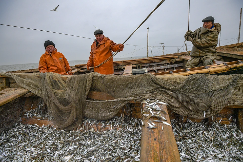 Ключевой проблемой рыболовецкой отрасли считают устаревший флот.