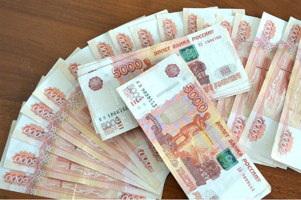 Сибирячка выплатила миллионный долг, чтобы не лишиться земельных участков