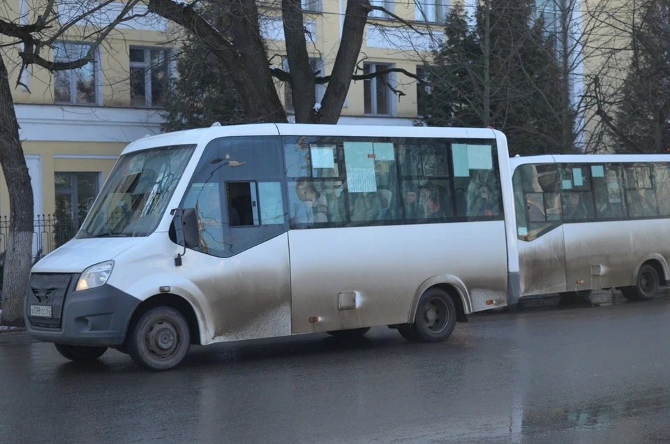 Фото: Ольга СУПОНЕВА (архив)