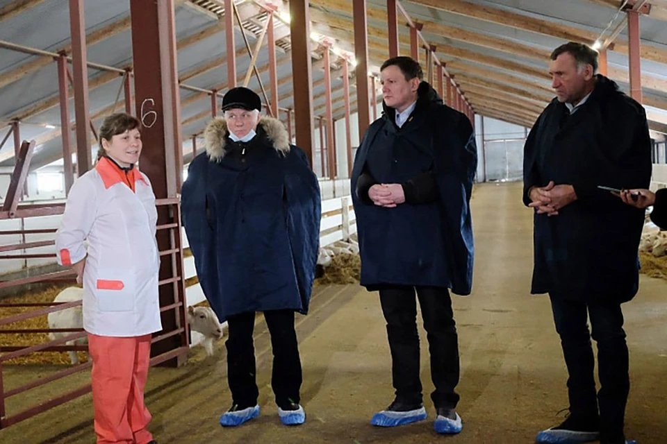 Глава СПК «Красное Знамя» Владимир Шулаев показал председателю правительства Александру Чурину и зампреду, министру сельского хозяйства и продовольствия Алексею Котлячкову комплекс, рассчитанный на 2300 коз. Фото: kirovreg.ru
