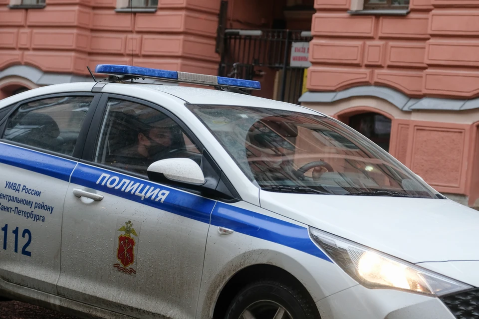 Задержан подозреваемый в разбойном нападении на медсестру в Невском районе Петербурга