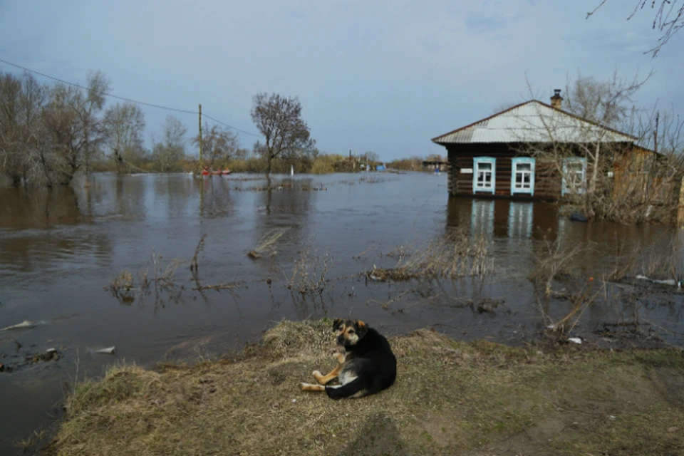 Омские власти начали готовиться к паводку, но и горожанам советуют запастись насосами.