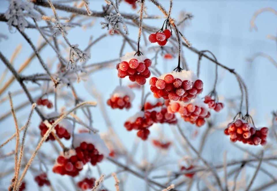 Фото: pixabay.com
