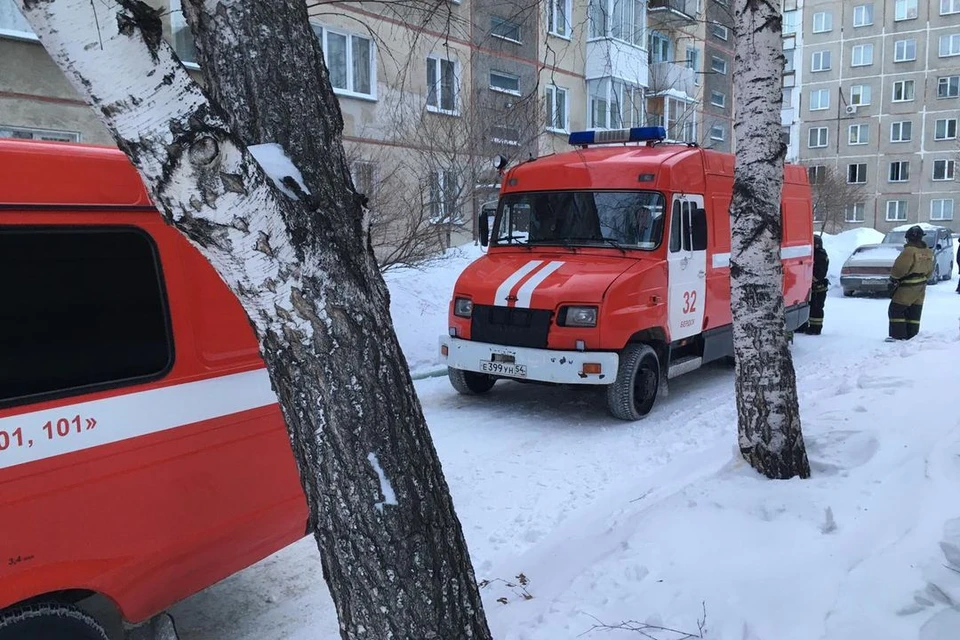 В пожаре погиб мужчина. Фото: ГУ МЧС по НСО