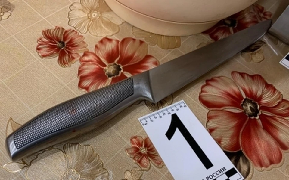 Жительница Мурманска убила сожителя ударом ножа в живот. Фото: СКР по Мурманской области