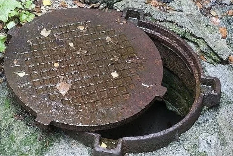 Фото: из архива "КП"