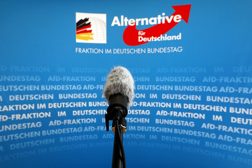 «Альтернатива для Германии» по итогам выборов 2017 года стала третьей по численности партией в бундестаге