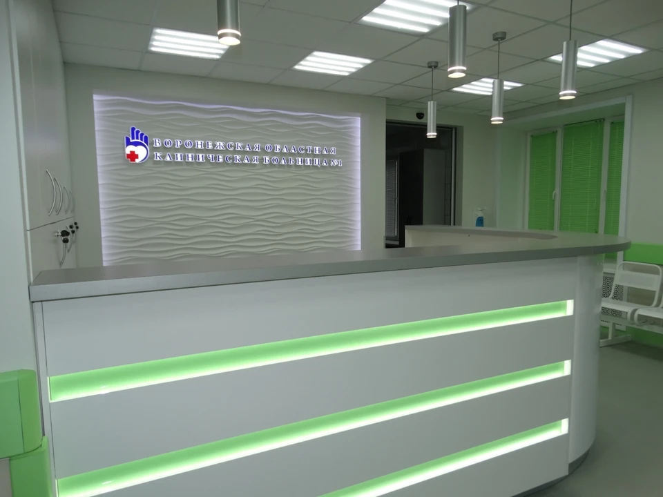 В этом приемном отделении приняли рекордное количество пациентов - 31 527