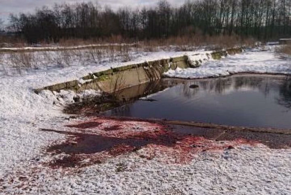 Река несет нечистоты в Балтийское море.
