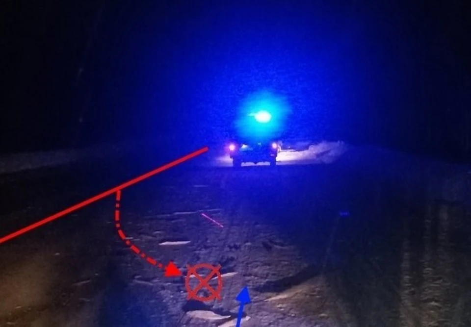 Фото УГИБДД по Коми