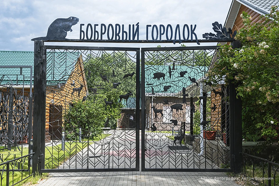 Бобровый городок