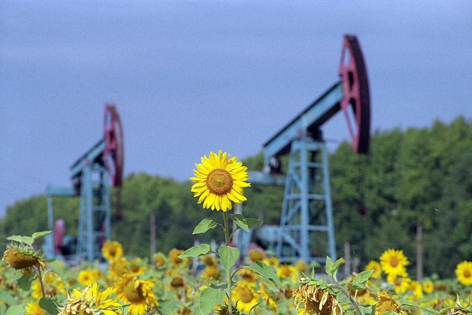 Программа «Башнефти» по полезному использованию ПНГ на территории Башкортостана действует с 2012 года