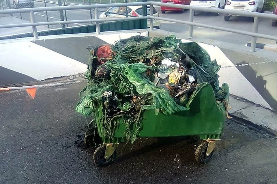 Стоимость контейнеров заложена в тарифе на вывоз мусора. Фото: УО