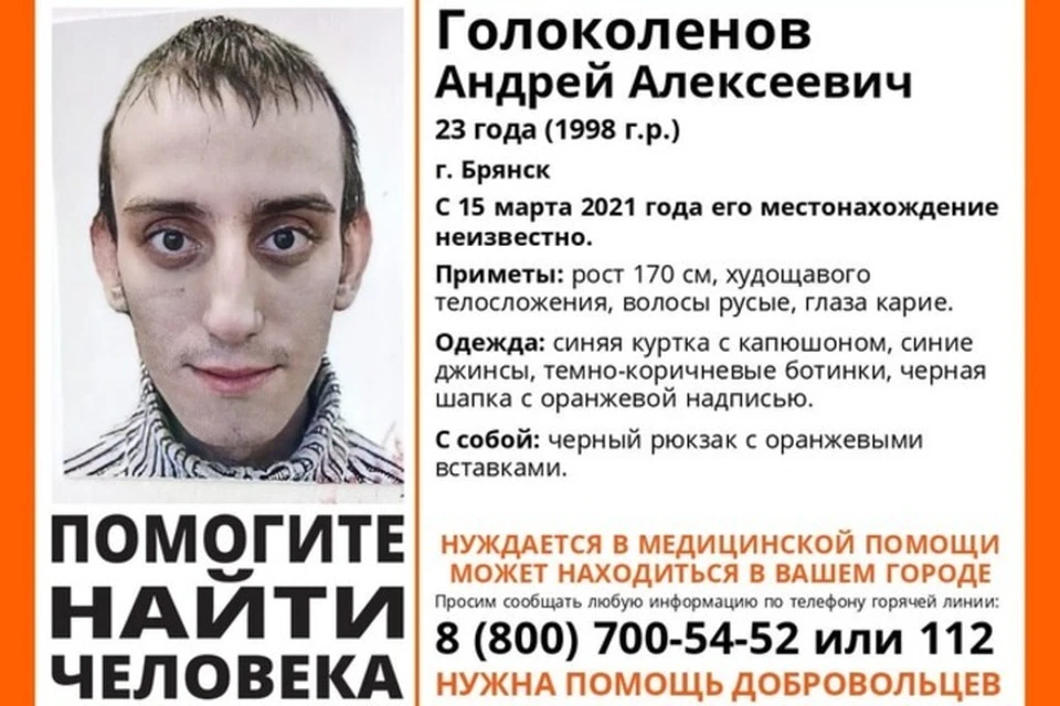 Фото: группа «Поисковый отряд «ЛизаАлерт» Брянской области» в vk.com.
