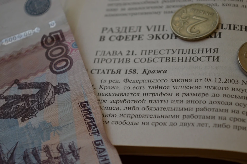 В Орловской области на студента техникума завели дело о краже