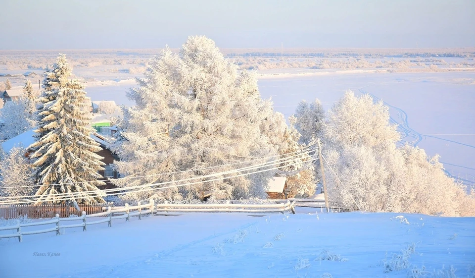 Фото: Павел Канев
