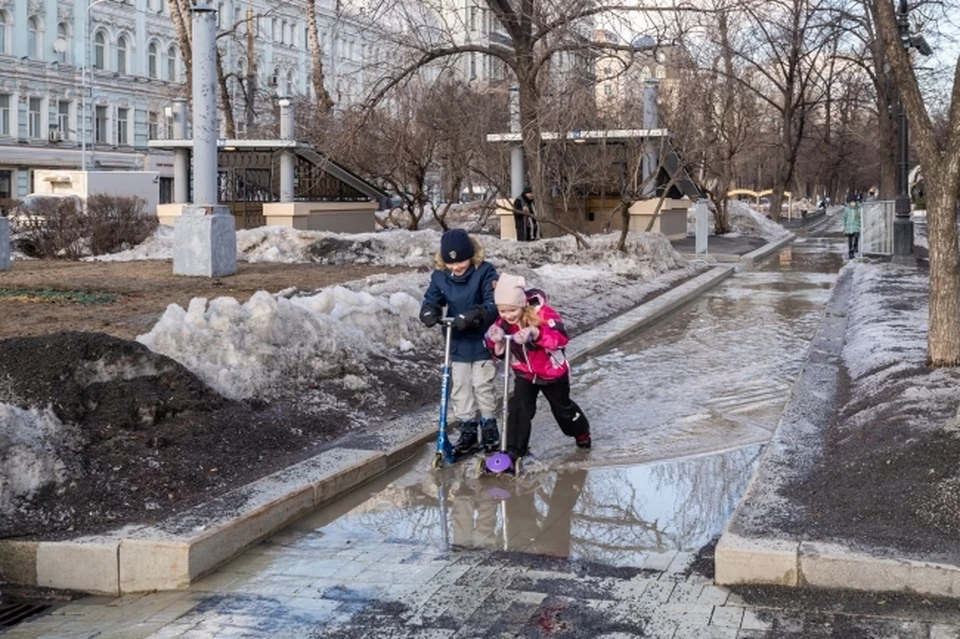 На экологию Ростова и области влияет масса факторов