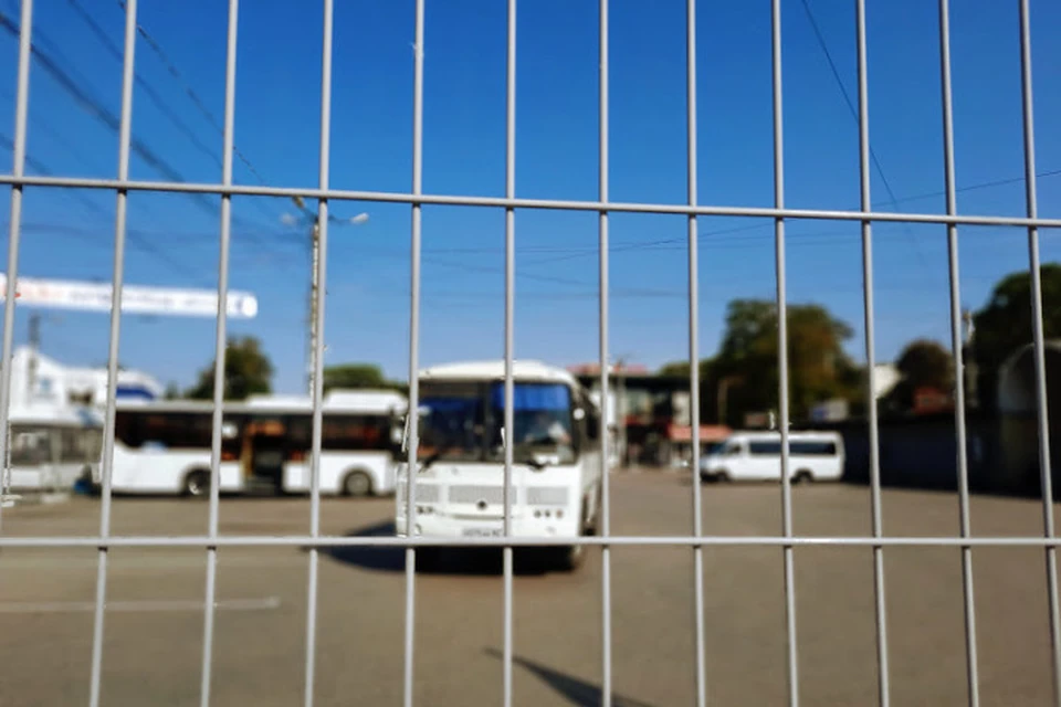 Нелегальный транспортный бизнес в Крыму процветает благодаря отсуствию должного контроля