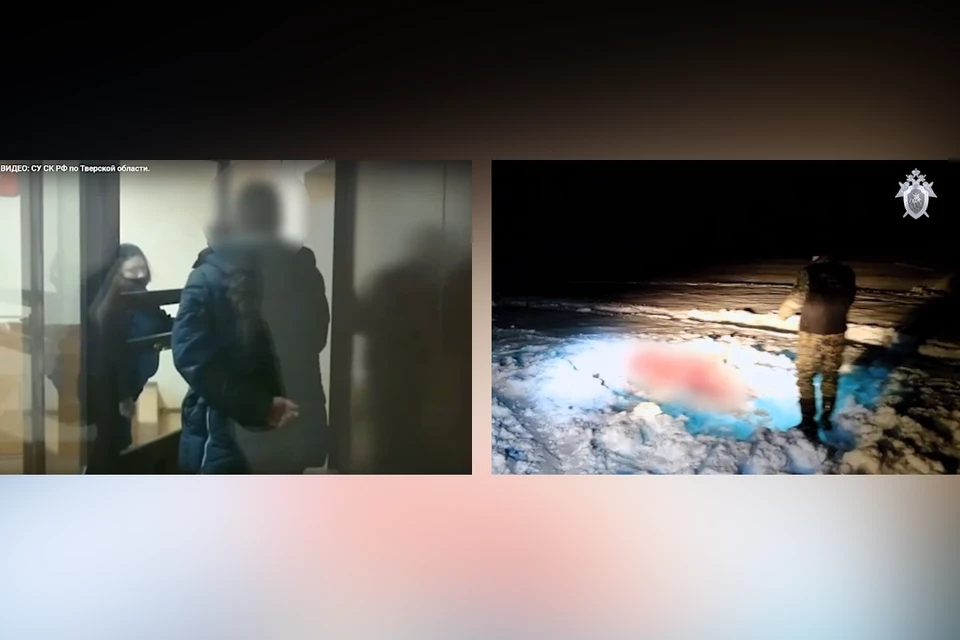Третий обвиняемый в убийстве лосихи будет также находится под арестом до конца апреля. Фото: СУ СК по Тверской области.